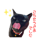 黒猫ナウちゃんスタンプ1（個別スタンプ：12）