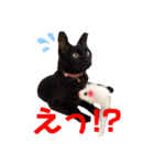 黒猫ナウちゃんスタンプ1（個別スタンプ：14）