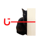 黒猫ナウちゃんスタンプ1（個別スタンプ：27）