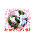 モコフラミー（個別スタンプ：4）