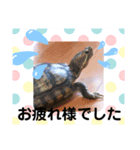 モコフラミー（個別スタンプ：7）