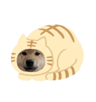 しば三種混合（個別スタンプ：3）