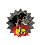 しば三種混合（個別スタンプ：27）
