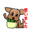 愛犬とのオリジナルスタンプ（個別スタンプ：13）