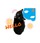 おまめ(黒猫)（個別スタンプ：1）
