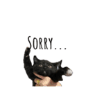 おまめ(黒猫)（個別スタンプ：3）