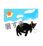 おまめ(黒猫)（個別スタンプ：15）
