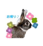 ミンチョップ＋わわとその兄（個別スタンプ：10）