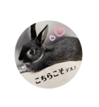 ミンチョップ＋わわとその兄（個別スタンプ：20）