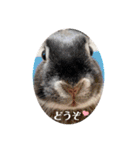 ミンチョップ＋わわとその兄（個別スタンプ：23）