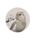 ミンチョップ＋わわとその兄（個別スタンプ：26）