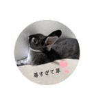 ミンチョップ＋わわとその兄（個別スタンプ：31）