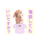 lovelyダックスフンド・アンの日常7（個別スタンプ：8）