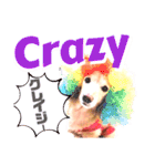 lovelyダックスフンド・アンの日常7（個別スタンプ：15）