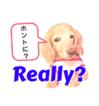 lovelyダックスフンド・アンの日常7（個別スタンプ：29）