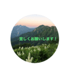 kinko-鹿島槍ヶ岳2（個別スタンプ：5）