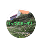 kinko-鹿島槍ヶ岳2（個別スタンプ：6）