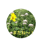 kinko-鹿島槍ヶ岳2（個別スタンプ：10）