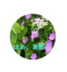 kinko-鹿島槍ヶ岳2（個別スタンプ：12）