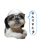 我が家のシーズー犬もじゃ 22（個別スタンプ：2）