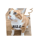 アニマルGo2（個別スタンプ：3）
