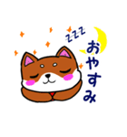 柴犬ラッキーだワン（個別スタンプ：3）