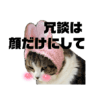 うにときす♡Part2（個別スタンプ：2）
