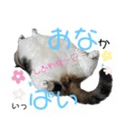 うにときす♡Part2（個別スタンプ：8）