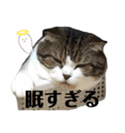 うにときす♡Part2（個別スタンプ：10）