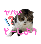 うにときす♡Part2（個別スタンプ：11）