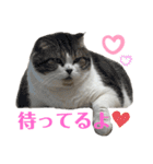 うにときす♡Part2（個別スタンプ：19）