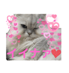 うにときす♡Part2（個別スタンプ：23）