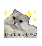 うにときす♡Part2（個別スタンプ：25）