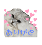 うにときす♡Part2（個別スタンプ：29）