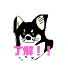 ももちゃんのイラスト（個別スタンプ：4）