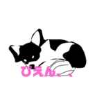 ももちゃんのイラスト（個別スタンプ：7）