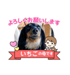 ダックス いちごちゃん（個別スタンプ：5）