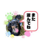 ダックス いちごちゃん（個別スタンプ：23）