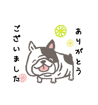 動く！Dog Park（個別スタンプ：5）