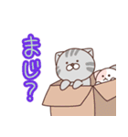 あらぶるどうぶつ☆猫たちのスタンプ（個別スタンプ：39）