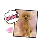 HappyBathPep4-2（個別スタンプ：9）