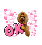 HappyBathPep4-2（個別スタンプ：18）