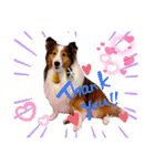 HappyBathPep4-2（個別スタンプ：21）