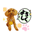 HappyBathPep4-2（個別スタンプ：22）