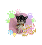 HappyBathPep4-2（個別スタンプ：25）