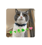 うにょにょ。スタンプpart4（個別スタンプ：11）