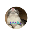 うにょにょ。スタンプpart4（個別スタンプ：12）