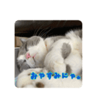 うにょにょ。スタンプpart4（個別スタンプ：21）