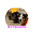 ハピハピかぞく（個別スタンプ：4）