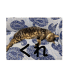 ハピハピかぞく（個別スタンプ：8）